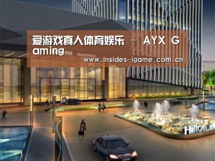 案例展示二