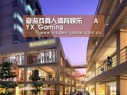 案例展示一