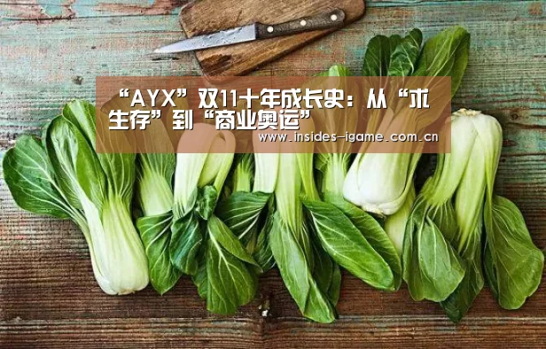 体育手机端APP