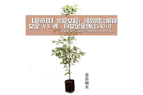 【爱游戏】北爱女超: 纽敦阿比前锋女足 VS 波達丹女足全场比分0:0互交白券(图1) 【爱游戏】北爱女超: 纽敦阿比前锋女足 VS 波達丹女足全场比分0:0互交白券(图1)