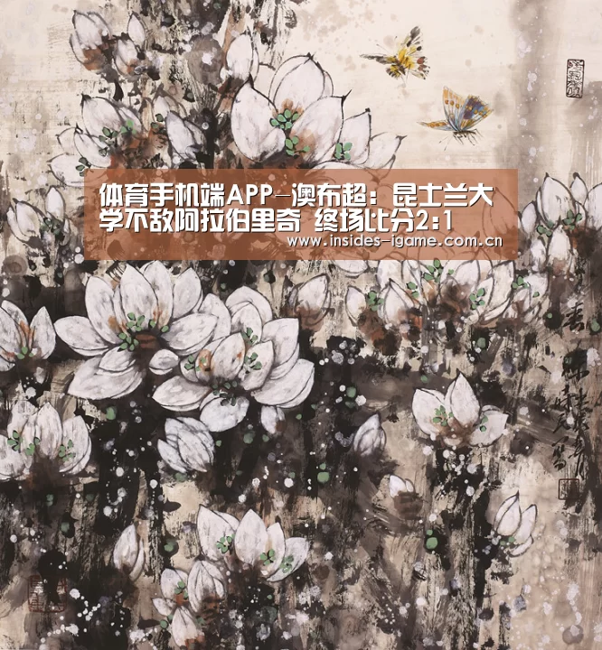 体育手机端APP-澳布超: 昆士兰大学不敌阿拉伯里奇 终场比分2:1(图3) 体育手机端APP