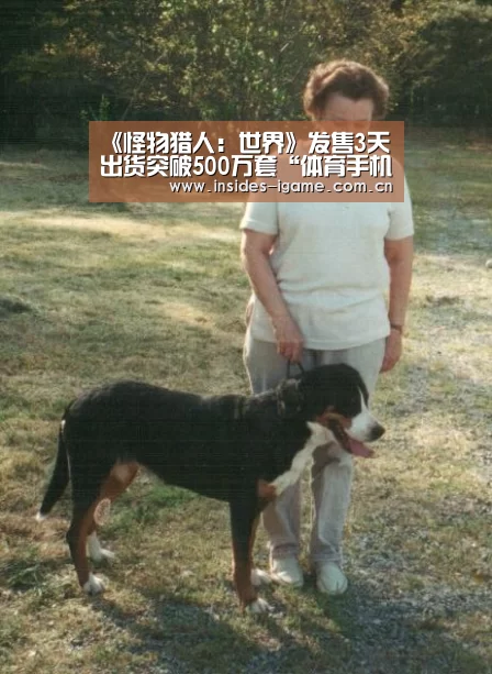 体育手机端APP