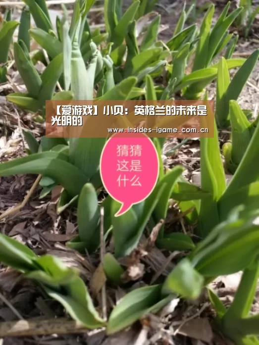 【爱游戏】小贝：英格兰的未来是光明的(图1)