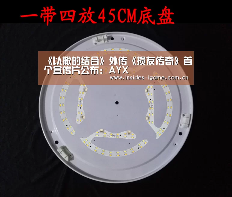 体育手机端APP