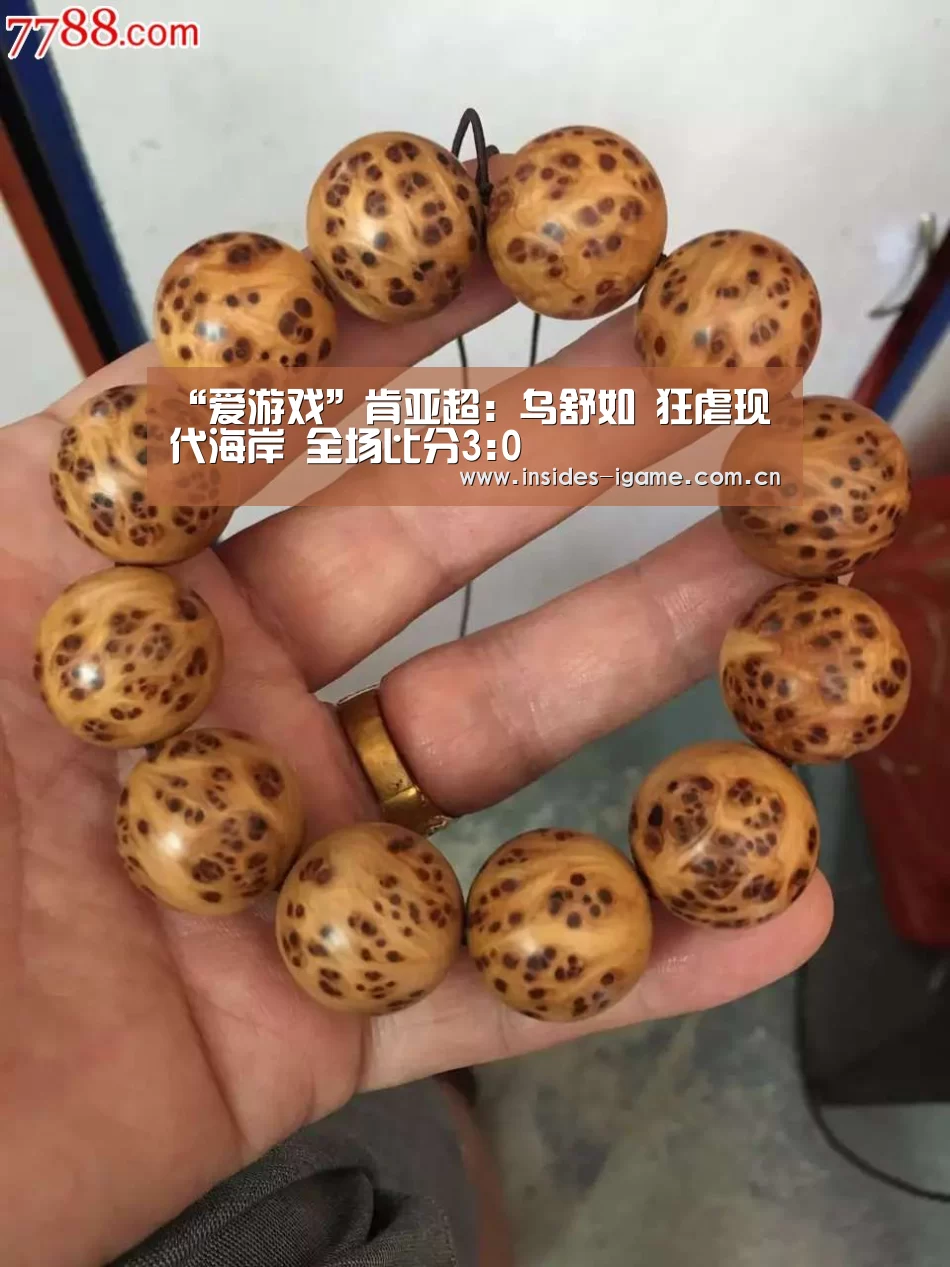 体育手机端APP