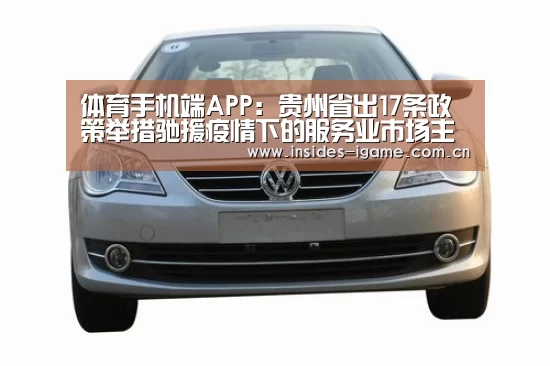 体育手机端APP：贵州省出17条政策举措驰援疫情下的服务业市场主体共渡难关(图2)
