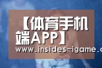 爱游戏